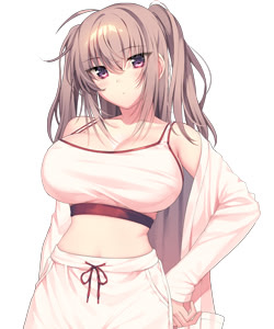 南部 月花紗