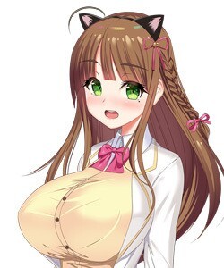 猫又 睡