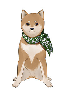 Shiba